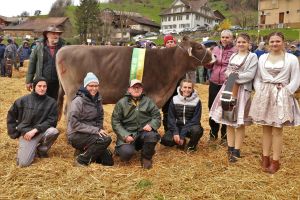 Champion Rind Braunvieh JONDA CH 120.1597.7679.2 PALMER-ET Kennel Markus Charenwldli 1 Steinerberg